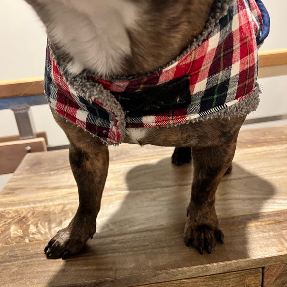 Dog fleece, Eddie Bauer jacket medium - Picture 3 of 14